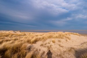 54963996_s_zandbank